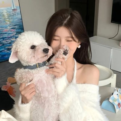 美丽国度 海报